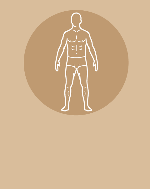 Cuerpo y Rostro completo